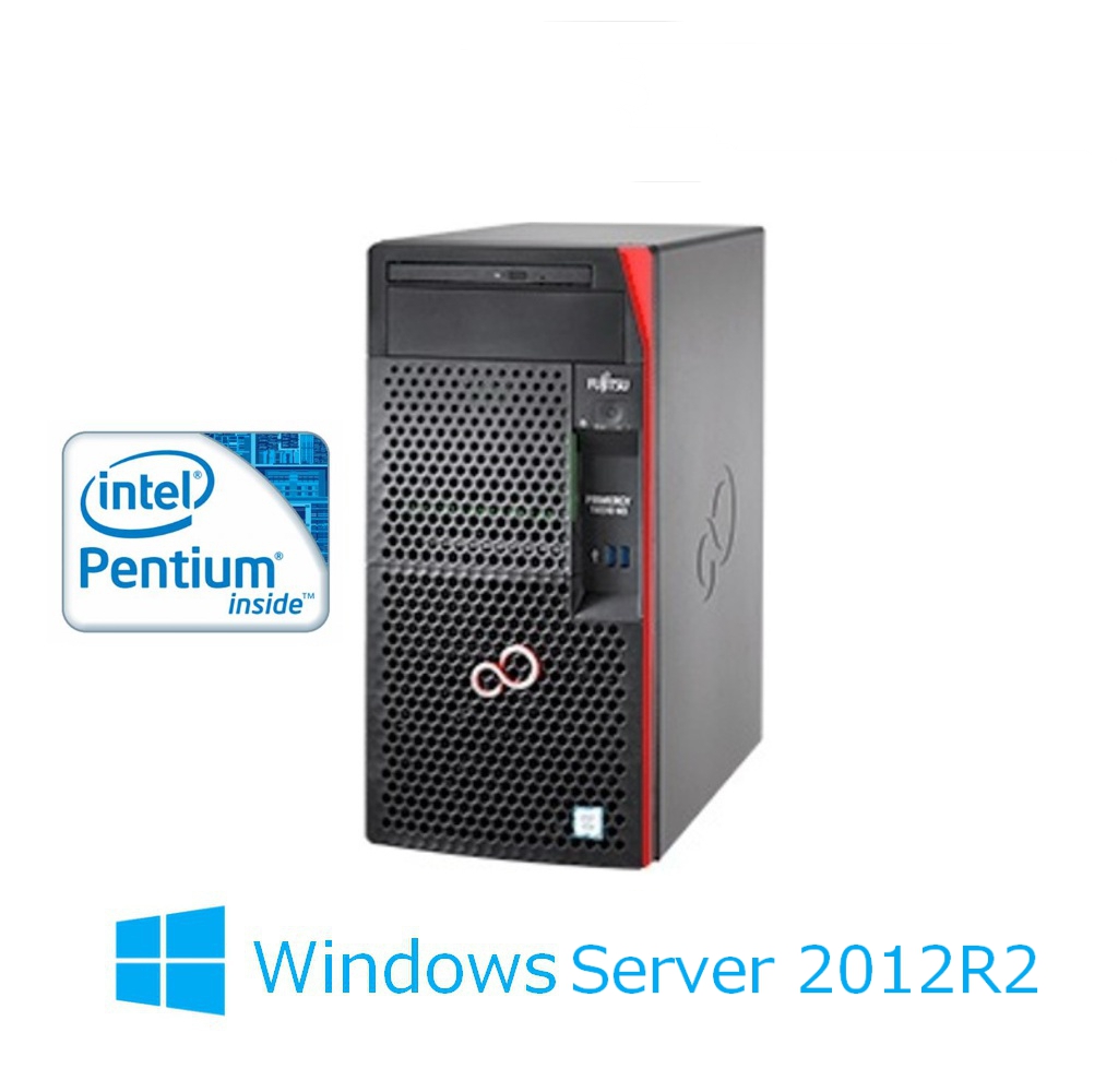 新品 Fujitsu PRIMERGY(プライマジー) TX1310 M3 PentiumG4560 1TBx2