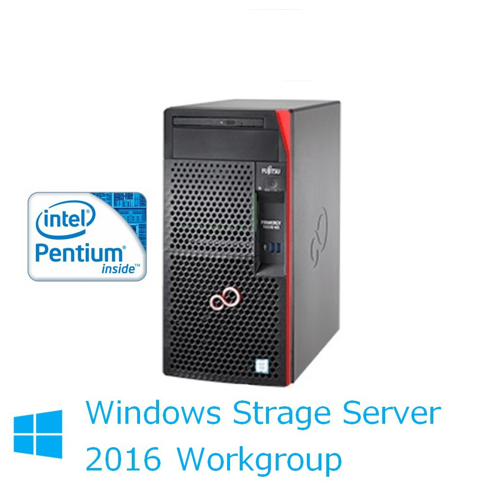 新品 Fujitsu PRIMERGY(プライマジー) TX1310 M3 Pentium G4560  WSS2016WG インストール 6TBx2