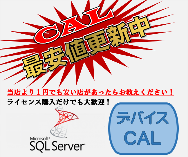 CSP DG7GMGF0FKZW0002 SQL Server 2019 - 1 Device CAL【エンドユーザー様 直接購入ライセンス】