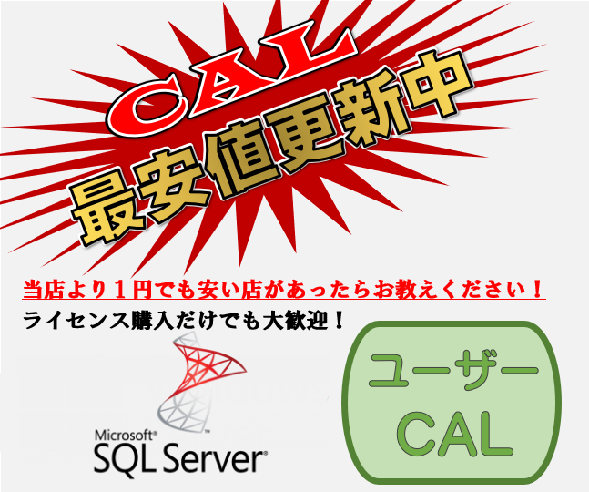 CSP SQL Server 2022 - 25 User CAL【エンドユーザー様のみ購入可能 転売不可】