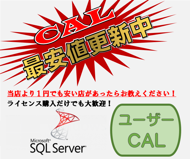 CSP SQL Server 2022 - 50 User CAL【エンドユーザー様のみ購入可能 転売不可】