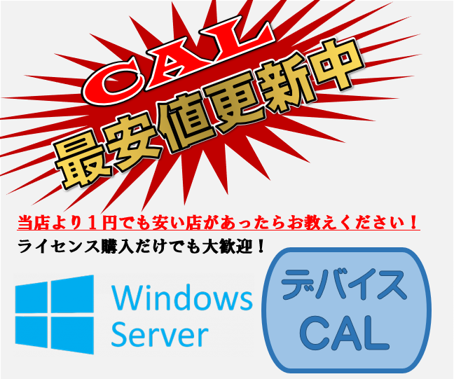 CSP DG7GMGF0D5VX0007 Windows Server 2022 Client Access Licence - 100 User CAL【エンドユーザー様のみ購入可能 転売不可】