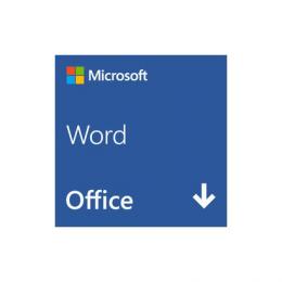 CSP Word LTSC 2021　DG7GMGF0D7D30003【エンドユーザー様のみ購入可能 転売不可】