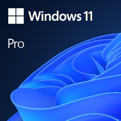 納期未定 FQC-10539 Windows 11 Pro 64Bit Japanese 1pk DSP OEI DVD