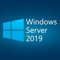 G3S-01304 Windows Server 2019 Essentials x64 日本語 DSP インストール実施