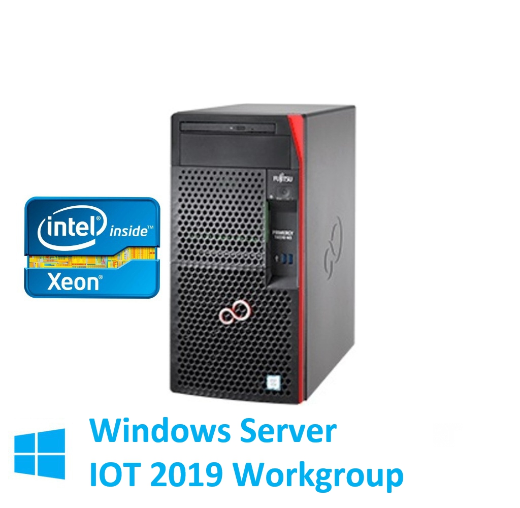 Fujitsu PRIMERGY TX1310 M3 Xeon E3-1225V6 WS IOT2019WG インストール NL-SATA 18TBx2