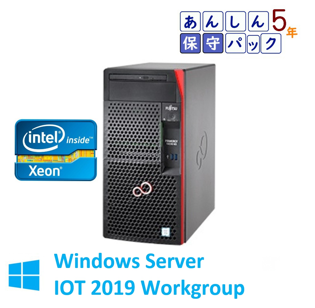 Fujitsu PRIMERGY TX1310 M3 Xeon E3-1225V6 WS IOT2019WG インストール 純正1TBx2 5年保守